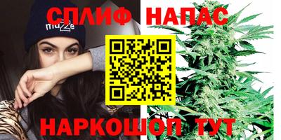 прущая мука Ачхой-Мартан