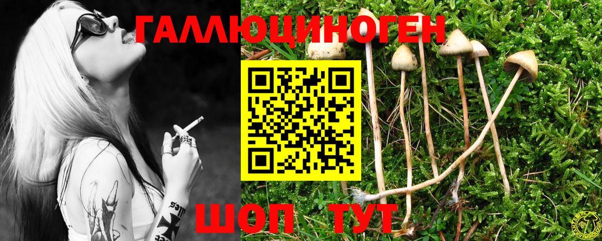 Владивосток  Галлюциногенные грибы Cubensis  Псилоцибиновые грибы Cubensis  Вход с VPN 